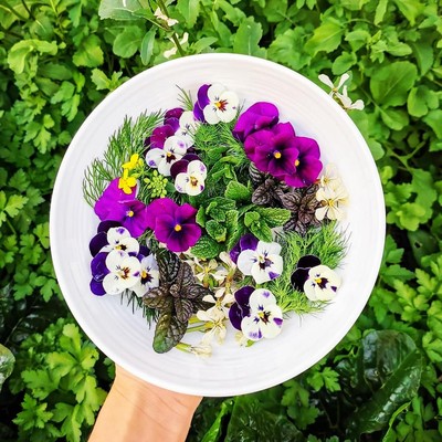 Edible Flowers and Herbs