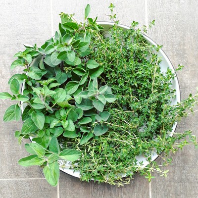 Image herbs