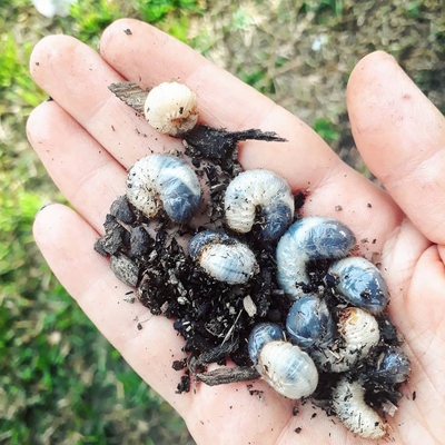 Image2 manualcontrol