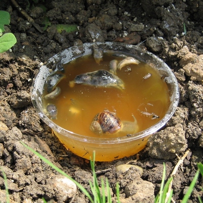 Image3 Repellentsandtraps