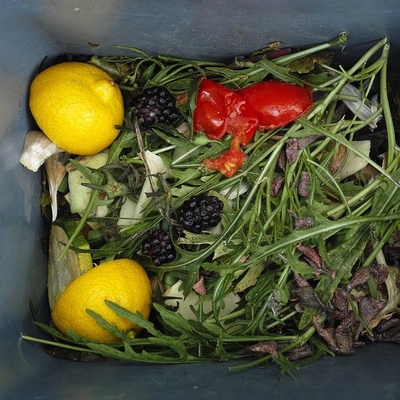 Image2 kitchenscraps