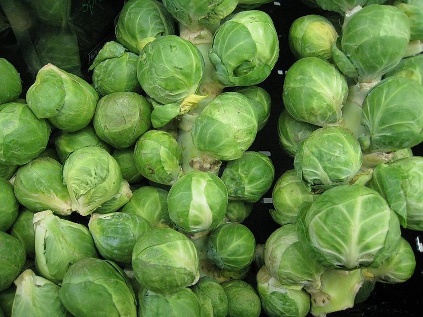 Brussels Sprouts