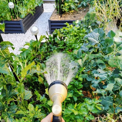 Help Your Garden Survive A Heat Wave