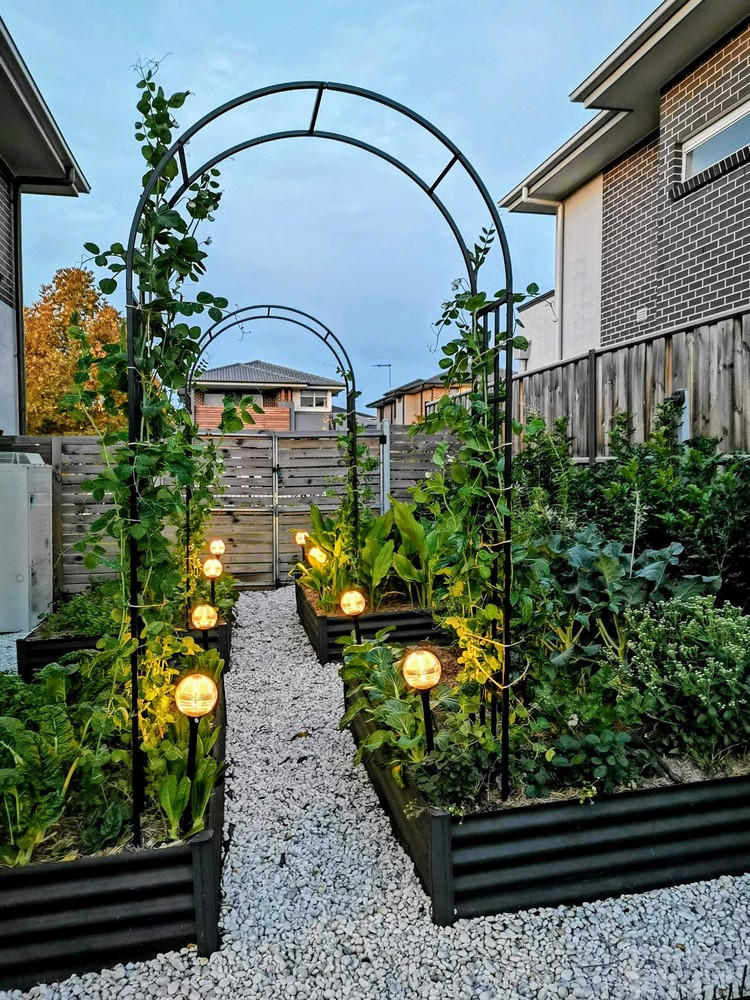 Image ediblegarden
