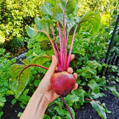 Image3 organicfertilizers