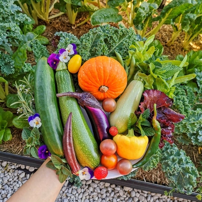 Image3 SunRequirements