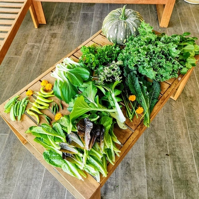 Image SunRequirements