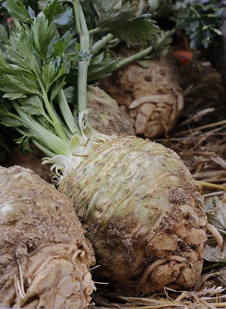 Celeriac