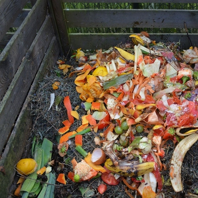 Image3 kitchenscraps