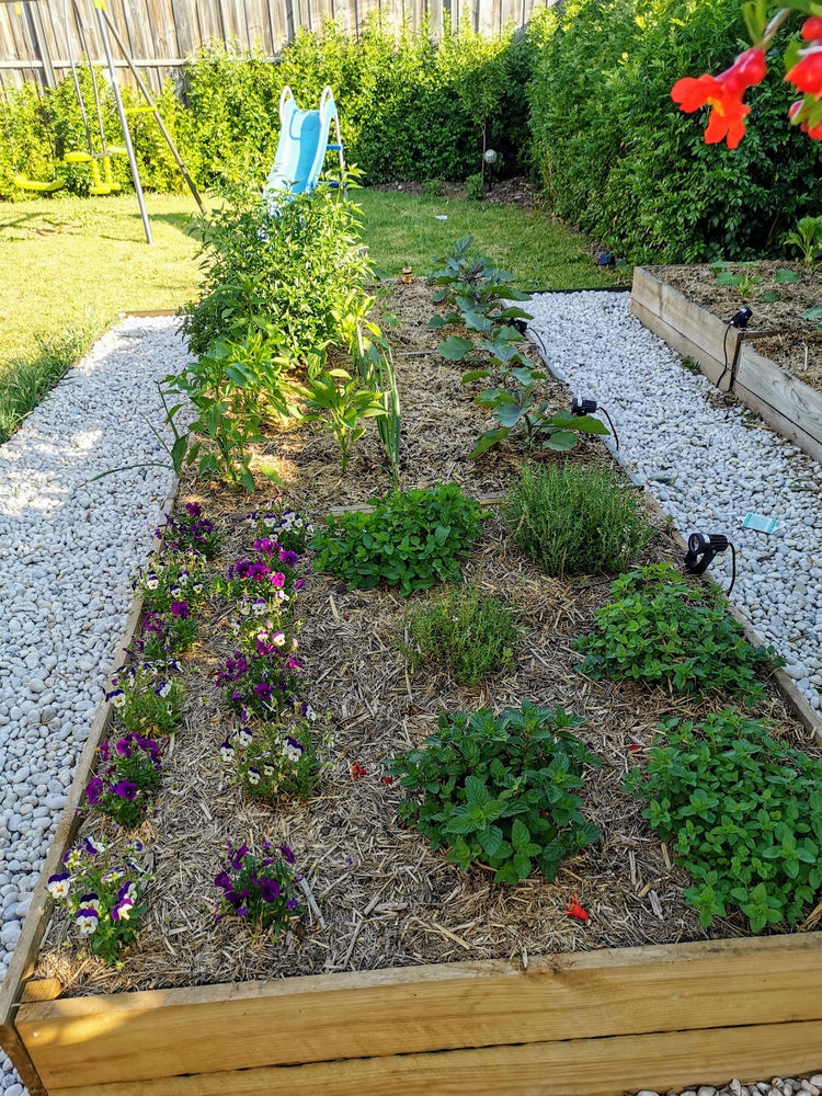 Image3 ediblegarden