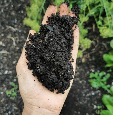 Image2 SoilPreparation