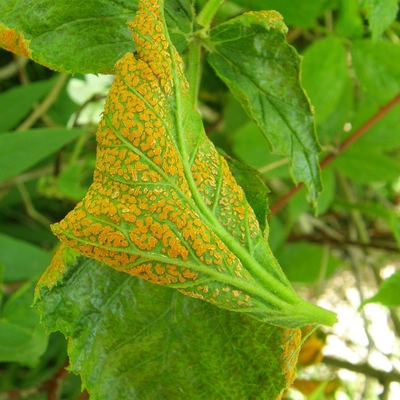 Image2 wastemanagement