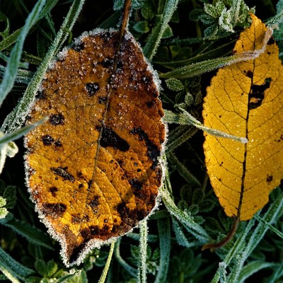 Image wastemanagement