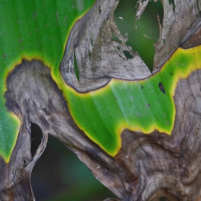 Image3 wastemanagement