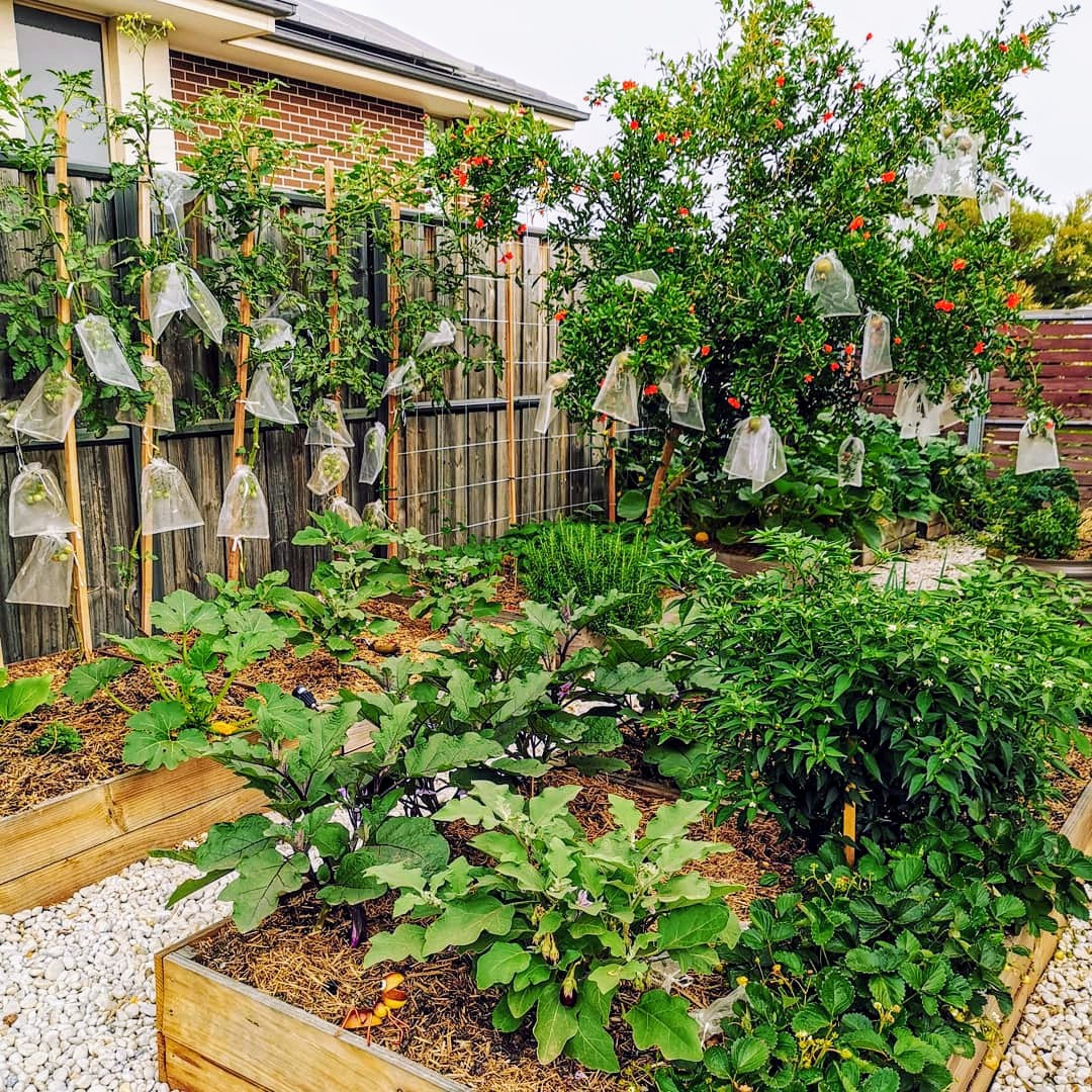 Designing Your Edible Garden | The Home Garden