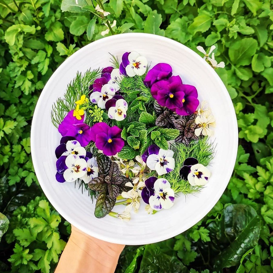 Homegrown harvest